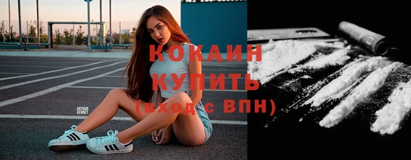 прущие грибы Наволоки