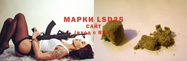 прущие грибы Наволоки
