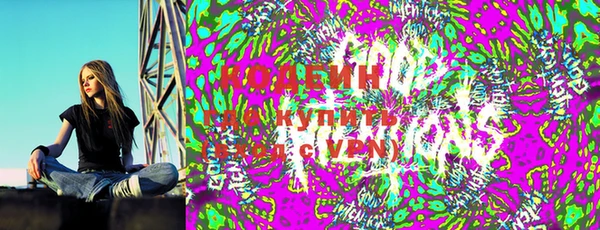 прущие грибы Наволоки