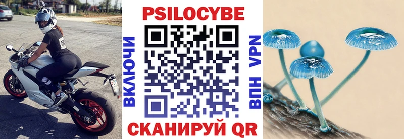 Псилоцибиновые грибы мицелий  магазин    Алзамай 