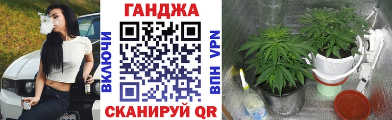 Канабис Amnesia  Алзамай 